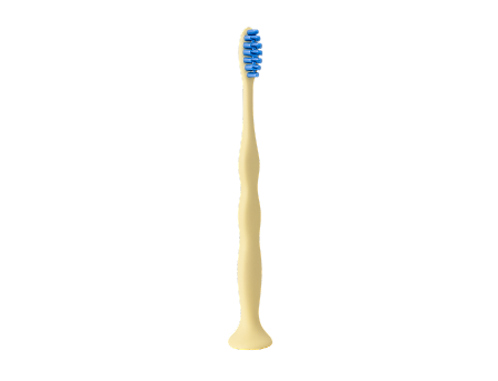 With Regular Kids Brushing