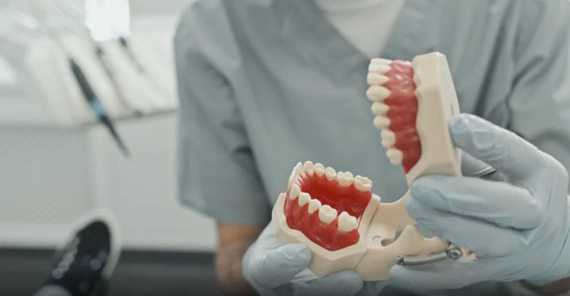 The Mouth-Body Connection: Why Your Teeth Matter More Than You Think