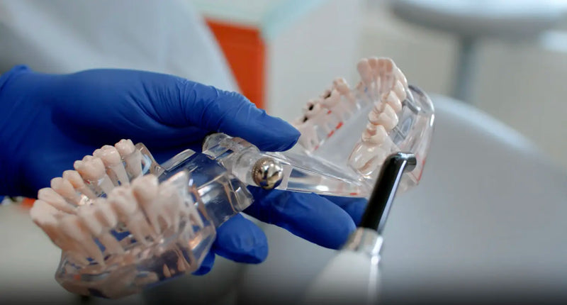 Gloved hands hold a clear dental jaw model showing teeth while explaining cavity prevention.