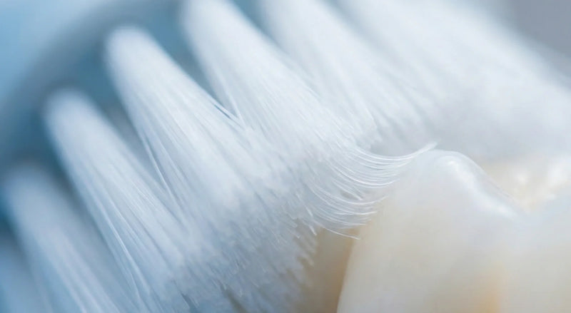 Can Receded Gums Grow Back? Here's What Research Shows