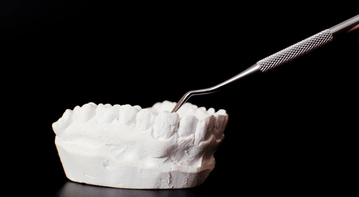 Dental probe examining a plaster teeth model against a black background, illustrating gum disease genetics.