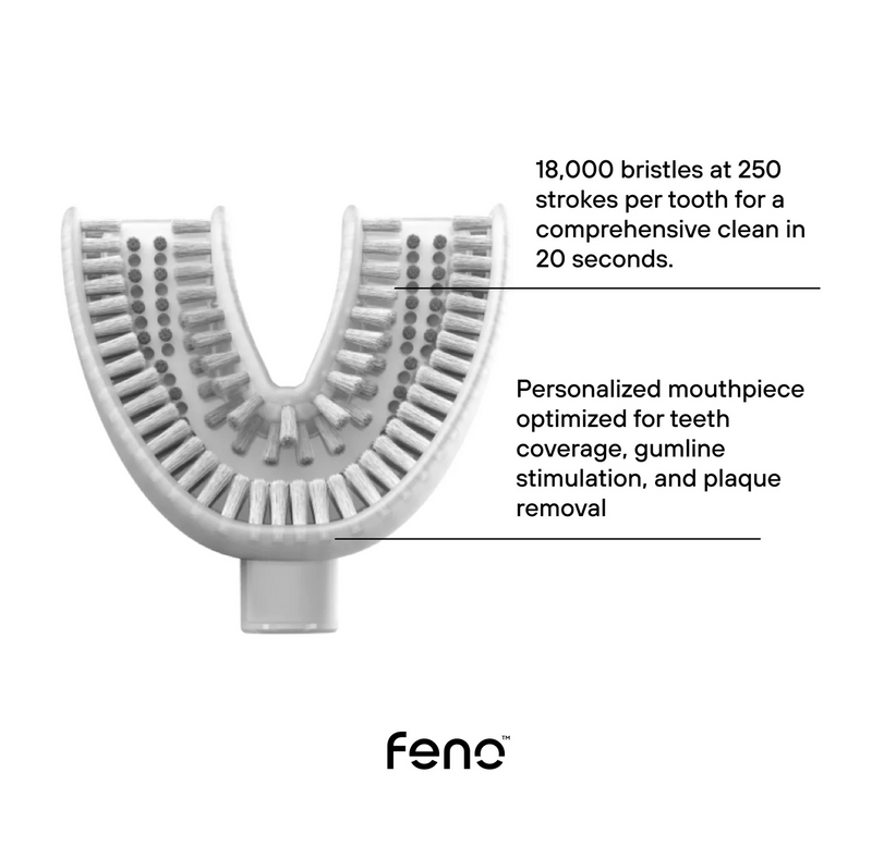 U-shaped toothbrush mouthpiece with dense nylon bristles sized to fit an adult dental arch
